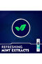 Fresh Kick Shaving Foam, Mint & Cactus Water, 200 ml - 6