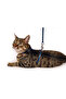 Zngzrmll Chest Harness (232058) Blue 110 - 2