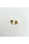 Motify 0.9 Steel Earring |   Steel Earrings - 2