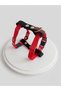 Dog Chest Harness Adjustable Small & Small Breed H Type Column Cord Red & Black - 2