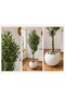 Artificial Olive Tree (Zaytun Tree) in Plastic Pot - 220cm Large Faux Olive Plant with Fruits, Home & Office Decor - 2