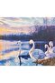 Diamond Painting Self-Framed Beaded Tapestry Mosaic Puzzle Dimensions 50X40Cm in Set