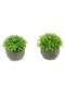 Small artificial plastic potted herbal plants for home decor - 2