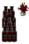 12 قطعة عطر نايت كود 100 مل