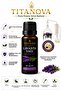 Lavender Oil 10 ml Pure Herbal Essential Oil - 2