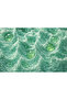 KREM SABUN ALOEVERA - 3