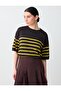 Bitter Brown Crew Neck Elbow Sleeve Striped Knitwear Blouse - 4