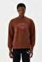 Brown Crew Neck Printed Long Sleeve Men's Sweatshirt M500242