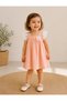 Baby Girl Dress with Lace Collar Detail and Flower Applique