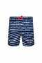 Boys' Swim Shorts Stacy S216 Dark Navy - 3