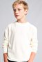 Regular Fit Crew Neck Knitwear Ecru Sweater for Boys A4992A825Wn