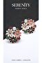 Satin Enamel Figure Steel Plated Earrings