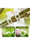Cherry Pitter,Olive Pitter Tool,Pit Remover,Quick Push Pull,6 Hole Seed,Multi-Function Core Seed Depitter,Green,Kitchen Tool - 3