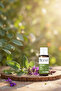 Sage Oil 10ml - 2