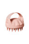 Hair Scalp Massager Brush