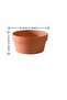 S 6 PCS Terracotta Buld Pots 3.5"x2.2" Flower Pots Clay Pottery Planter with Drainage Hole Cactus S. - 3