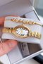 Premium Oval Case Women's Wristwatch Steel Band Japanese Movement Gift with Special Box Hmby2062C1