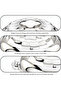 Safa Stainless Steel Hotpot 1500ML | STEEL FINISH - 3