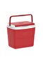 Picnic Icebox - 3