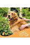Shampoo Brown Coat Dog 250 ml - 6