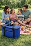 22 Liter Thermal Bag Waterproof Insulated Cold Holder Carrying Bag Picnic Camping Beach Grocery - 4