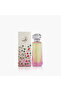 Anaab Eau de Parfum Spray - 100 ml - 2
