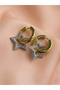 Ring Stone Star Gold Steel Earrings