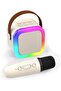 Karaoke Machine for Kids Adults, Mini Portable Bluetooth Karaoke Speaker with 1 Wireless Microphones
