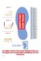 Children's High-Top Football Boots with Socks, Football Cleats, Turf Field Shoes - 4