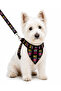 Adjustable Scarf, Chest Harness and Travel Strap Set of 3 - 2