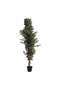 Ficus Tree Green H152cm - 3