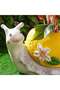 Snail With Lemon Shaped Magnesia Planter 34x20x23cm - Off White Yellow - 2