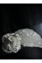 Three-Dimensional Floral Pearl Bridal Bag and Matching Set