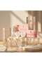 Rejuvenating Collection, Skincare Essentials, Kojic Soap Bar, Sunblock Cream, Rejuvenating Cream, Lotion - 7