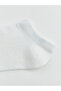 Timeless Clothing & Timeless Choices Boys' Bootie Socks 5-Pack - 3