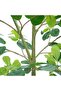 شجرة زيتون سوداء اصطناعية بطول 180 سم - نبات داخلي صناعي لتزيين المنزل والمكتب - 5