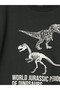 Anthracite Crew Neck Printed Boys' 2-Piece T-Shirt - 6