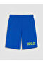 Sparkling Choices from Shining Store Hulk Printed Boy's Shorts Pajama Set - 6