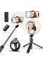 Selfie Ring Light Tripod Bluetooth Selfie Stick,Cell Phone Holder LED Selfie Light Stand for Live Stream Photography