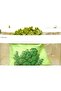 CU240 Polyester Lettuce Bag, Green - 3