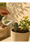 Cute Cactus Plant Watering Container |   Flower Pot Watering Dripper |   Flower Pot Watering Container (Surprise Flower Color) Automatic Plant Watering Device - 7