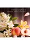 Blush Bloom Perfume 100ML - Eau de Parfum - Women's Rich Oriental Scent with Peach, Ylang-Ylang & Patchouli - 2