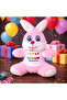 Happy Birthday T-Shirt Plush Rabbit - 2