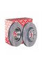 DISC HAM PRZOD 300X25 V - 6
