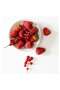 HÖKGÖK 4-Piece Scented Glass Candle Set – Red Berry, Light Pink, 12-Hour Burn - 4