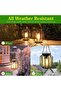 2-Pack Outdoor Decorative Warm White LED Solar Hanging Lanterns - 5