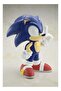 The Hedgehog Vinyl Figure 4.0 - 4