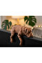 Cute Sleepy Boxer Dog Monitor and Screen Top Desktop Decor