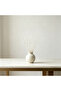 FFD Dried White Curly Willow Branches, Natural Decorative Twigs for Home & Event Styling - 8