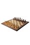 Chess Board Game with Plastic Chess Pieces | 2 Players - 4